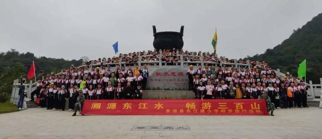 敏捷的白球